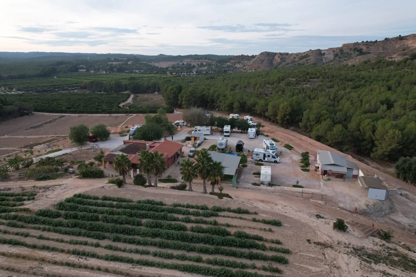 Vista aérea de la Granja La Carmela con las autocaravanas junto a la casa, rodeada de cultivos, pinar y el valle al fondo